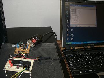 note PC and the board connected using a straight cable